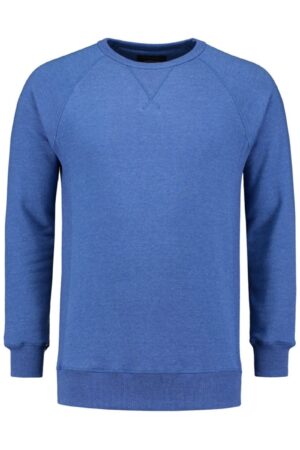 Heavy Sweater Raglan Crewneck for him